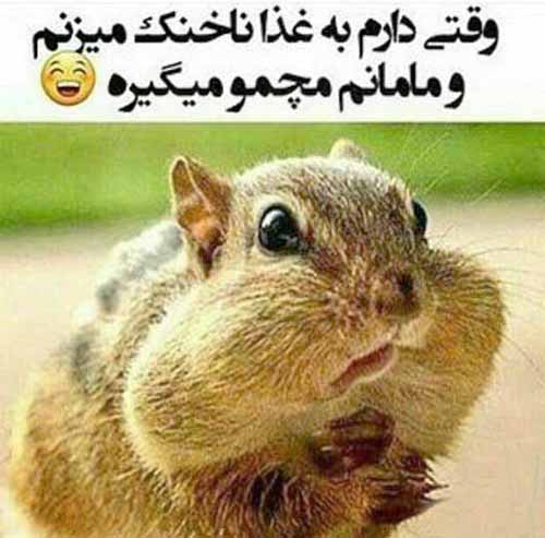 جوکهای خنده دار جدید