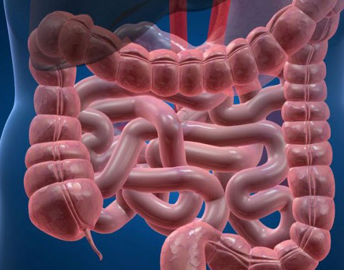 پیشگیری از نفخ شکم با مصرف پروبیوتیک ها