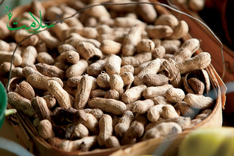 خواص بادام زمینی خواص بادام زمینی