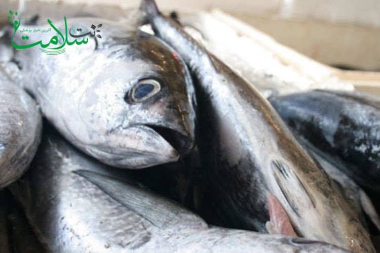 رژیم کتوژنیک رژیم کتوژنیک