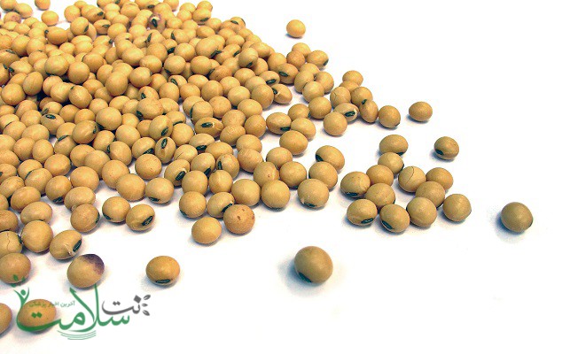 محصولات گوناگون لوبیا