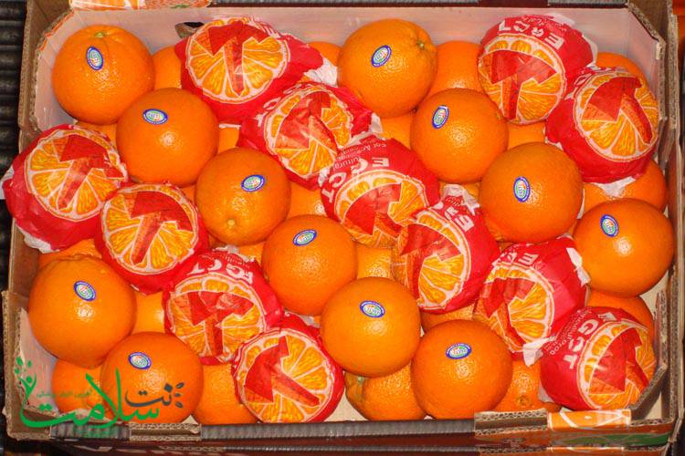 خواص پرتقال