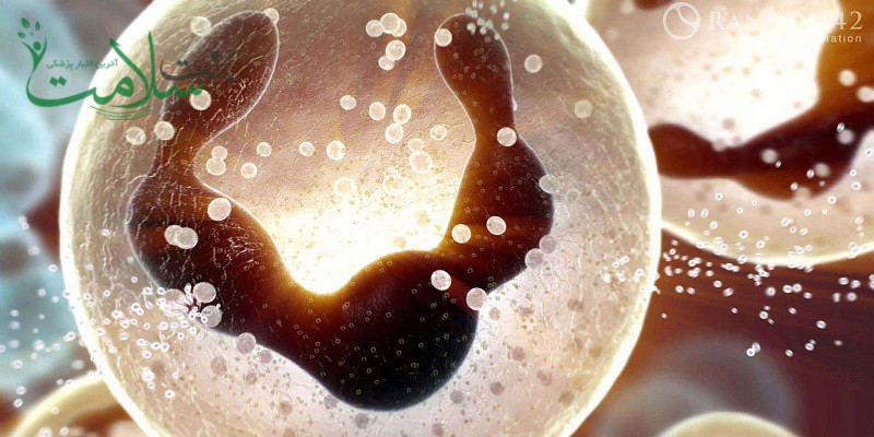 بیماری پان سیتوپنی