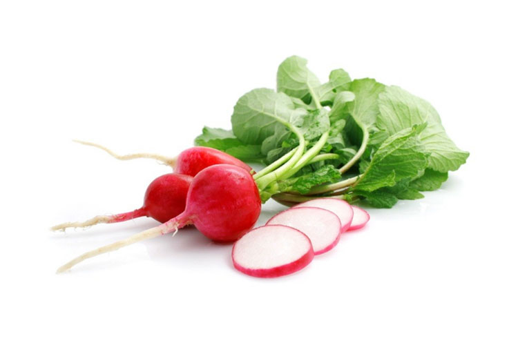 تربچه تربچه