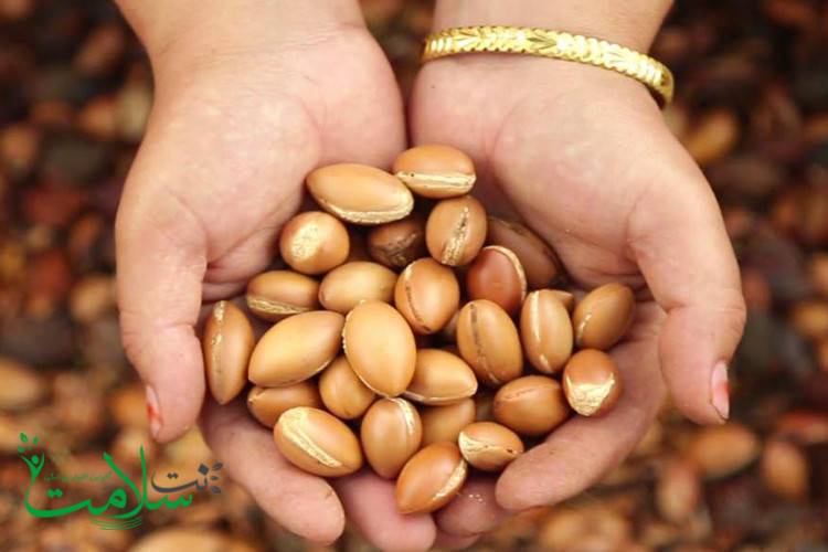 خواص روغن آرگان خواص روغن آرگان