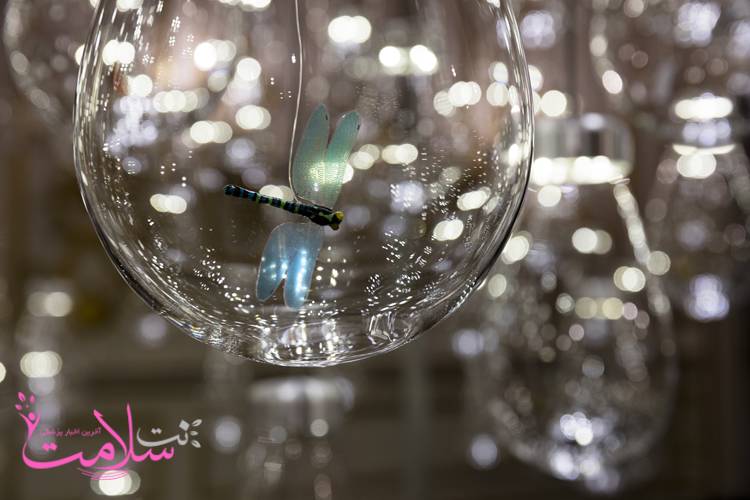 حس کنجکاوی حس کنجکاوی