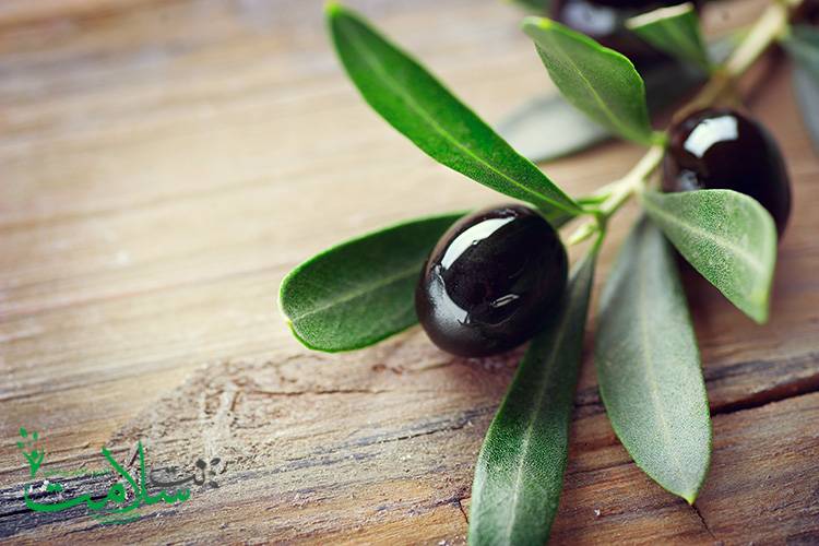 خواص زیتون