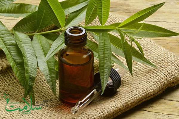 آکنه پوست سر