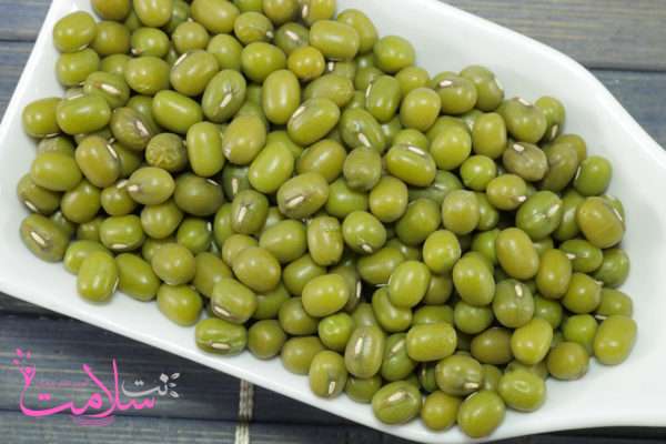 خواص ماش خواص ماش